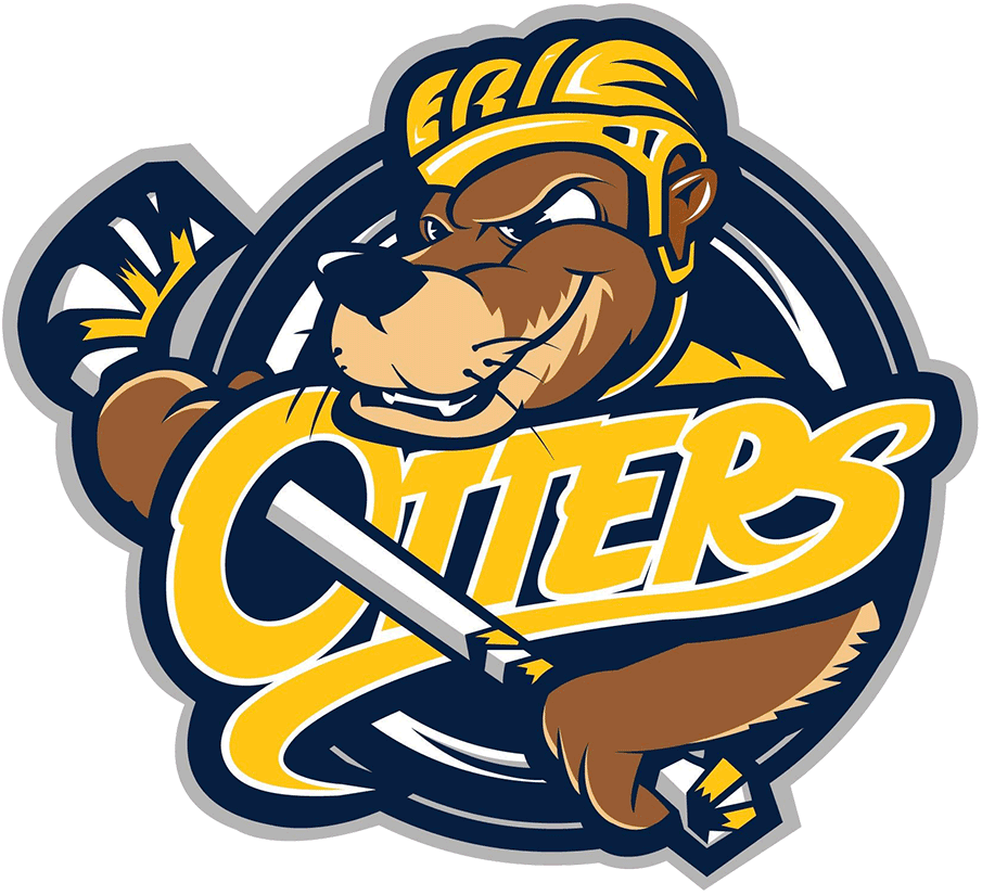 Erie Otters 2019-Pres Primary Logo iron on heat transfer